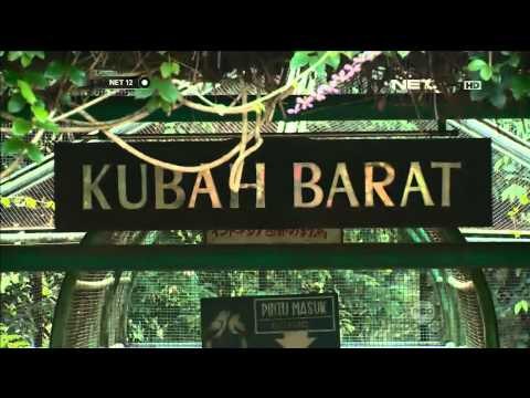 Taman burung rumah para burung burung cantik - NET12