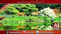 [Best] Maulana Tariq Jameel Short Bayan about Aakhri Jannati [Short Clip] -