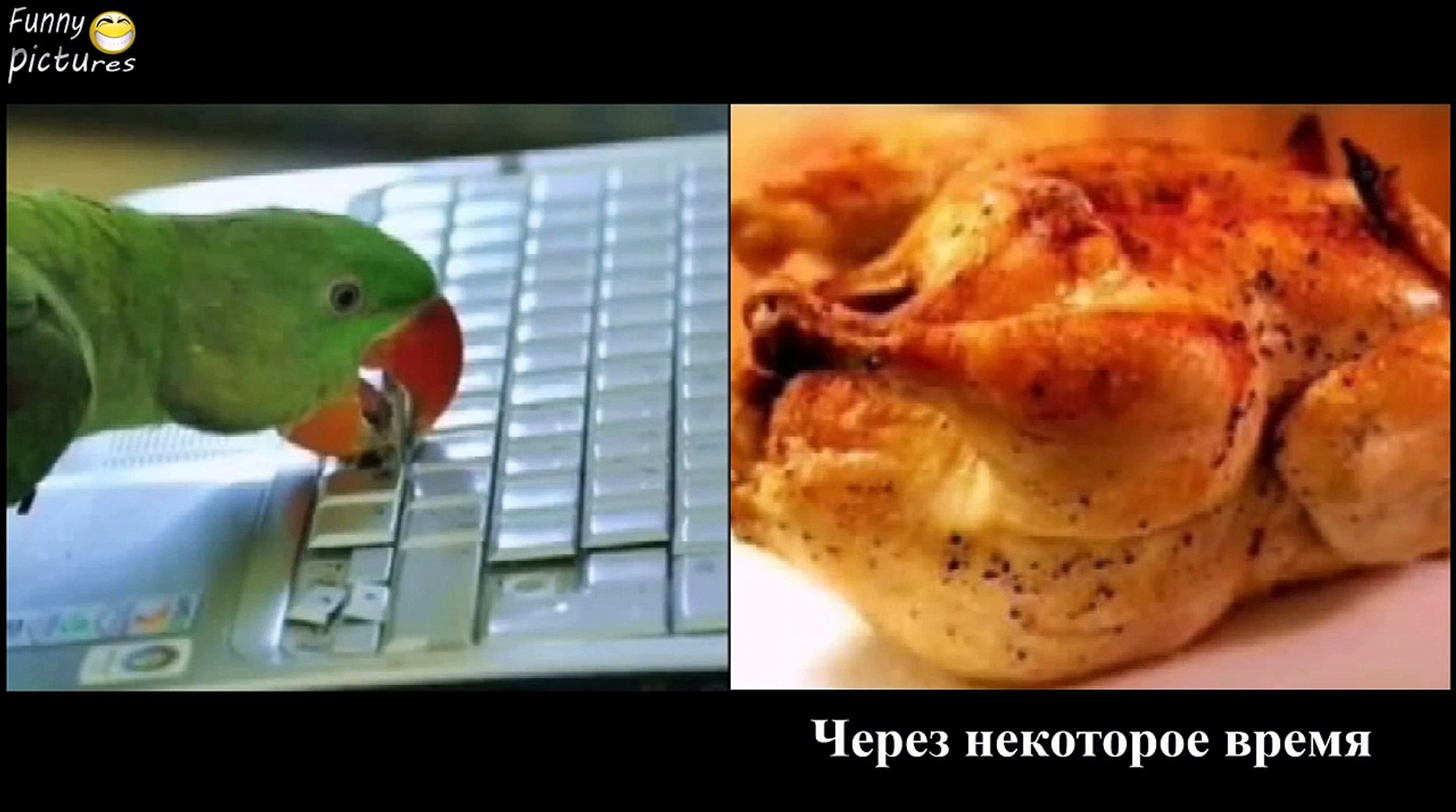 ⁣ПРИКОЛЫ ЗА НЕДЕЛЮ ЛУЧШИЕ ПРИКОЛЫ