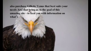 Best Gillette Venus reviews
