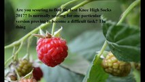 Best Knee High Socks reviews