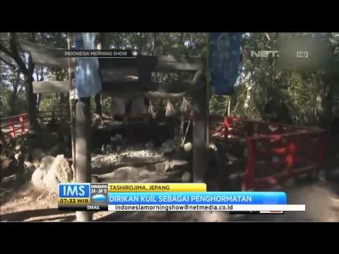 Wisata Pulau Kucing - IMS