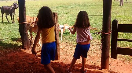 O Sistema é BRUTO !!! com Ana e Paula