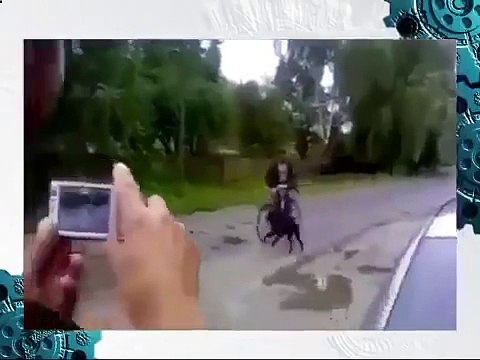 ДТП СОБАКА СБИЛА ДЕВУШКУ!