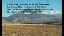 Best Conditioner For Damaged Hair reviews