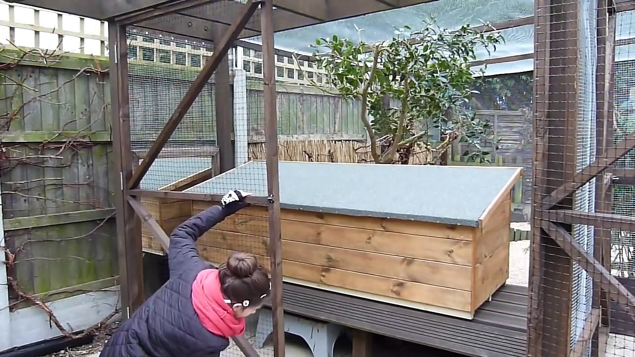 Guinea Pig Enclosure Tour   February 2015