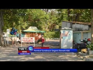 Pemkot Surabaya benahi KBS setelah kantongi surat izin - NET12