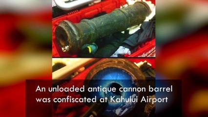 Most Bizarre Things Found By Airport Security