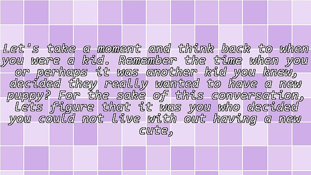 So, You Want to Get a New Puppy!