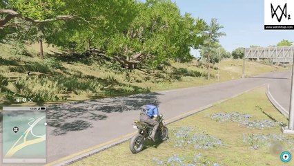 WATCH_DOGS® 2 Bug sem água