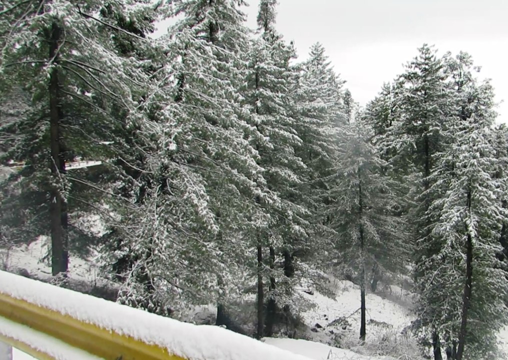 Snow Fall in Muree: Muree is more beautiful in winter
