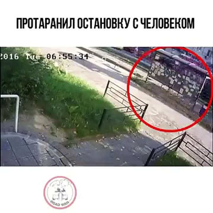 15148307 380795168925009 2769932234344366080 n