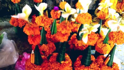 Le Laos avec ma mère - Natoo-AC2BDeZU3z4