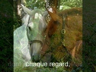passion chevaux