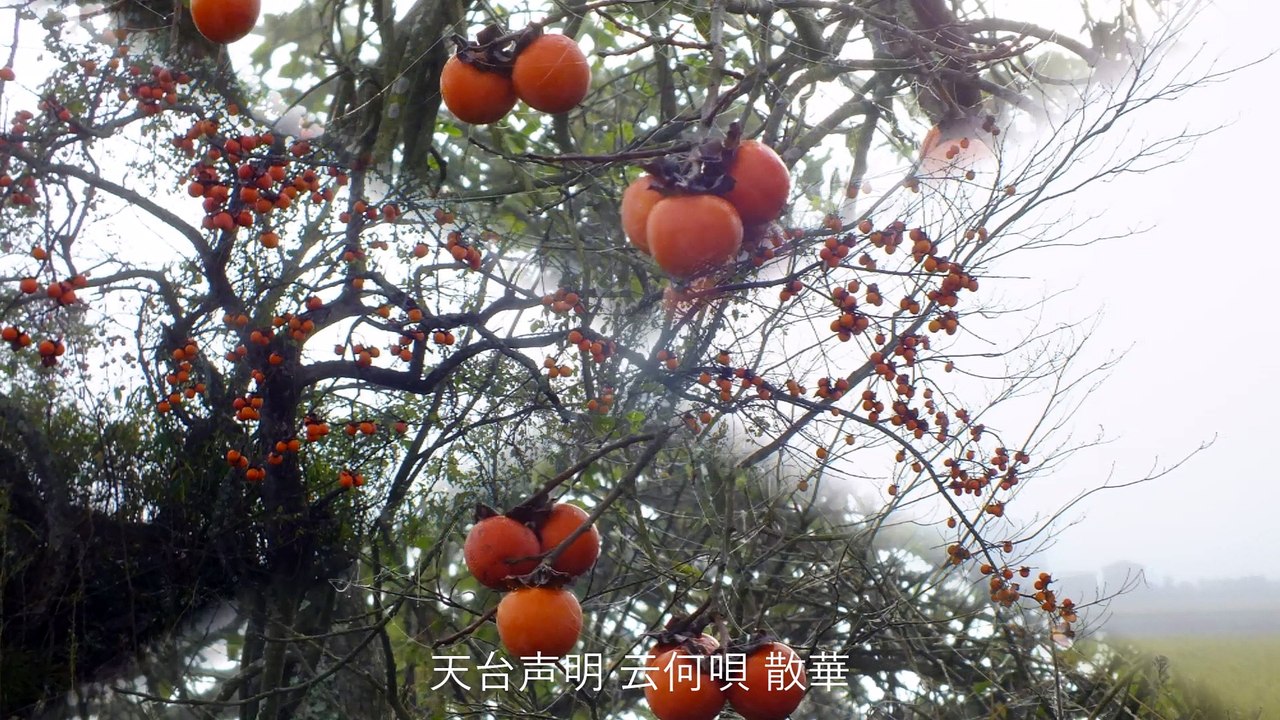 映像詩『夢幻∞丹波霧の朝』天台声明 云何唄散華  2016年12月18日,丹波篠山朝霧