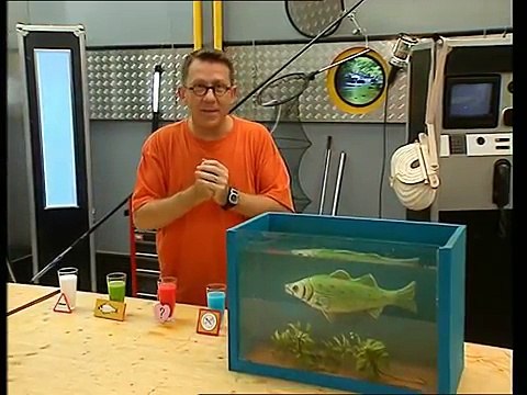 Comment les poissons communiquent-ils - C'est pas sorcier-Uf7cMfUvRMQ