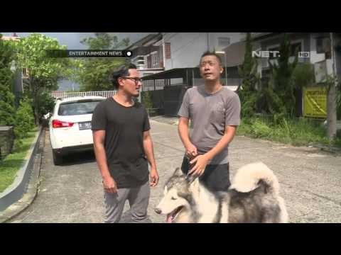 Kegiatan Seru Tanta Ginting Bermain dengan Hewan Peliharaannya