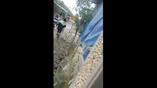 Thiếu nữ gào thét khi bị nhóm thanh niên bắt về làm vợ giữa đường