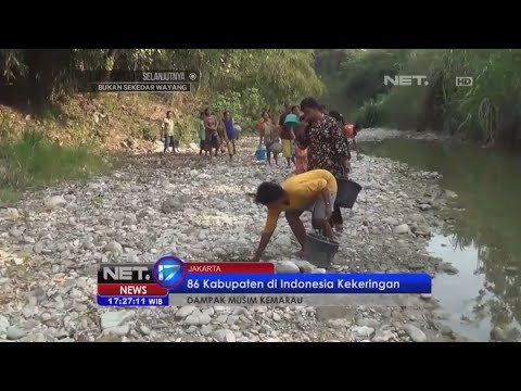 Kemarau panjang sebabkan kekeringan di 86 kabupaten Indonesia - NET17