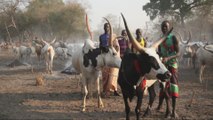 South Sudan counts human cost of deadly cattle raids