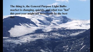 Best General Purpose Light Bulbs reviews