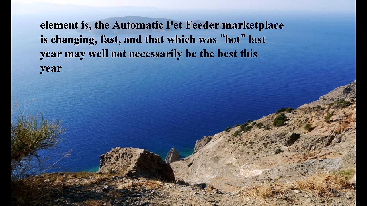 Best Automatic Pet Feeder Reviews Video Dailymotion
