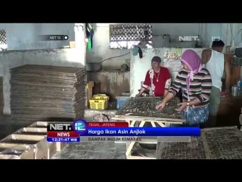 Harga Ikan Asin di Tegal Anjlok Akibat Kemarau -NET12