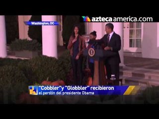 Pavos reciben el perdón de Obama