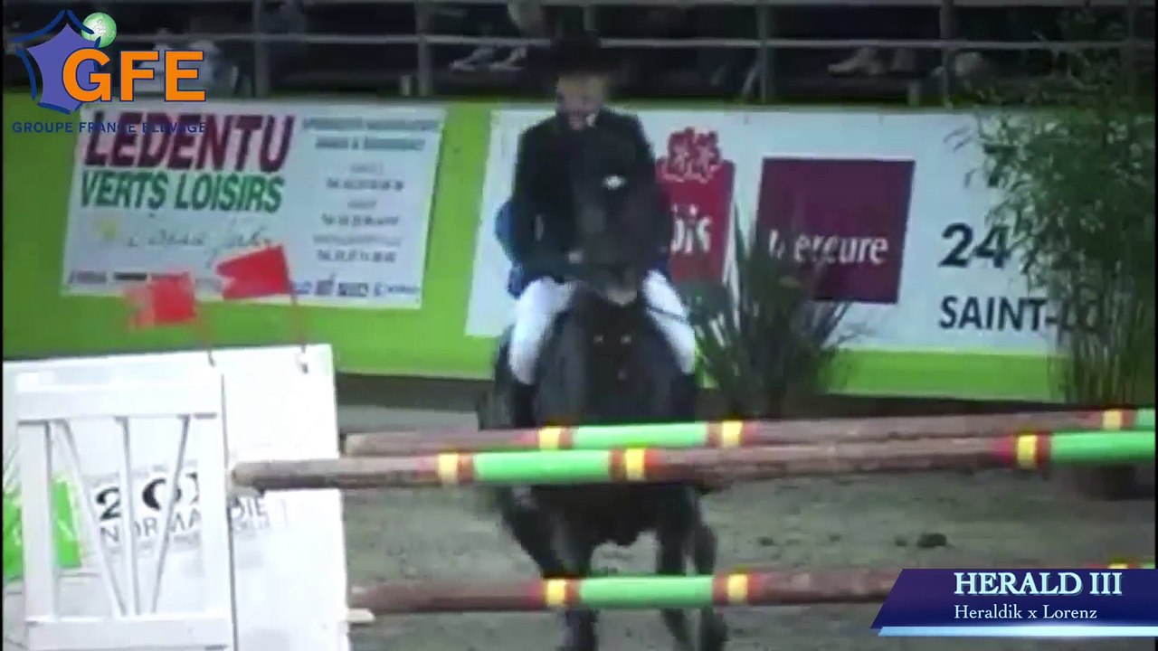 Salon des Etalons de Sports - Jumping International de Bordeaux 2017 (05/02/2017)