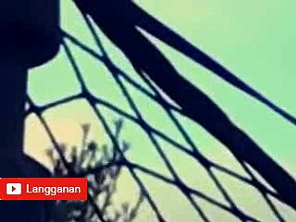 Coba anda lihat inilah penampakan ufo