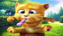 Funny cats videos talking 2014 - Cartoon for children babies 1,2,3 years old baby