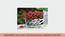 Gifts  Decor Lavender Rose Teacup Saucer Flower Pot Herb Planter e8f8b180