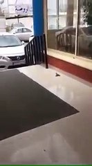 এটাও সম্ভব ! মৃতপ্রায় পাখিকে বাঁচাল আর এক পাখি