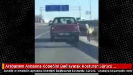 Arabasının Aynasına Köpeğini Bağlayarak Koşturan Sürücü Tepki Çekti