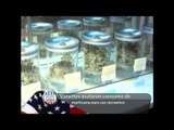 Despenalizan uso recreativo de marihuana en Colorado
