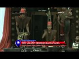 Tari Lalatip, Kesenian Dayak Tahol di Tarakan Kalimantan Utara - NET5