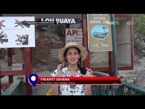 Wisata Taman Nasional Komodo - IMS