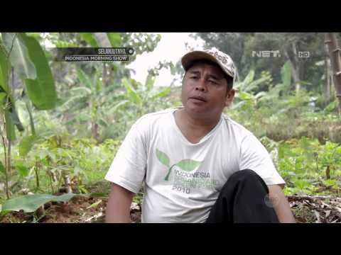 Cinta Bumi - Warung Organik Koperasi Sumber Usaha Lestari -NET5