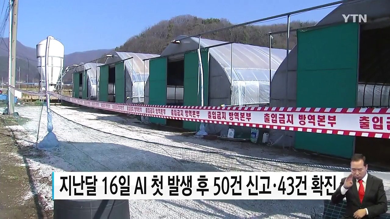 25일 만에 매몰 천만 마리 육박...AI 피해 '사상 최대' / YTN (Yes! Top News)