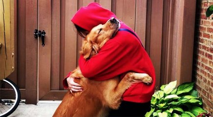 Cómo cortar las uñas a un perro