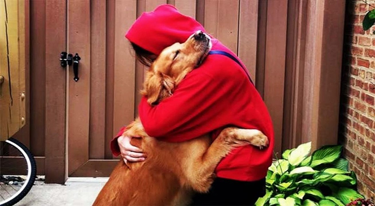 Cómo cortar las uñas a un perro