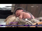 Meisya Siregar Jalani Pemotretan Newborn Baby