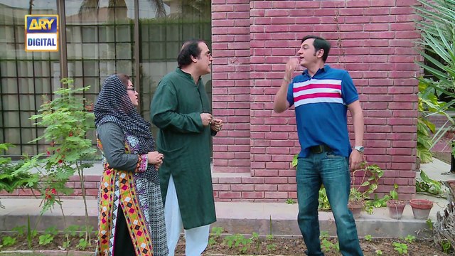 Watch Bulbulay Episode 439 - on Ary Digital in High Quality 5th February 2017