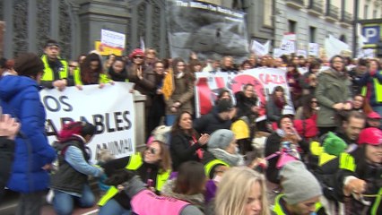 Miles de personas piden prohibición caza en España