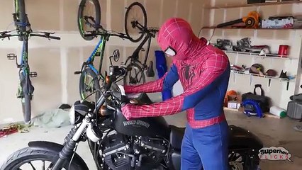 Spiderman vs Black Spiderman & Godzilla / T-Rex - Motorcycle Thief | Real Life Superhero Movie!