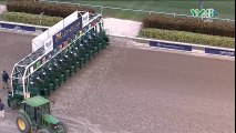 Arrogate wins the world’s richest horse race  Pegasus World Cup 2017