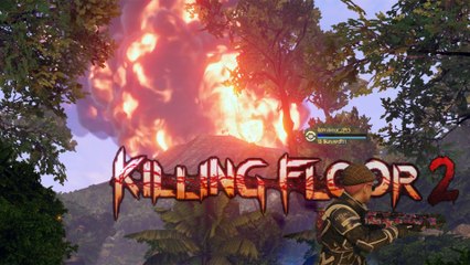 KILLING FLOOR 2 SN:20170204