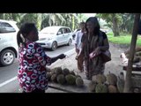 Musim Durian Simalungun di Sumatera Utara -NET5
