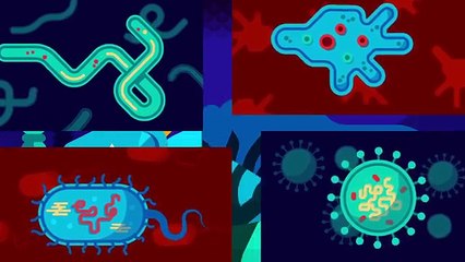 Muhtemelen Daha Önce Hiç Duymadığınız Korkunç Parazitler