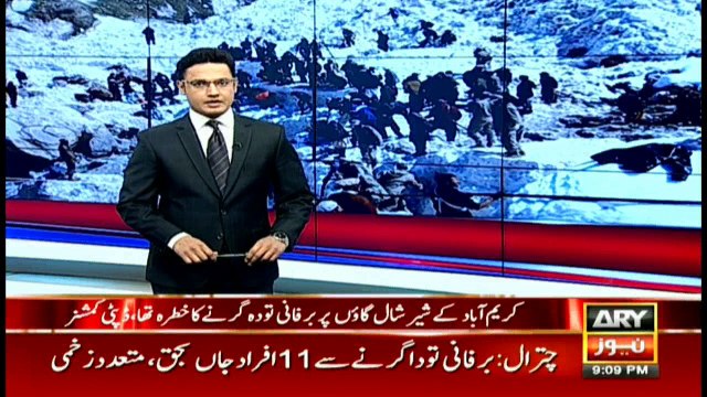 Hassan, Hussain Nawaz completely innocent: Mushahidullah